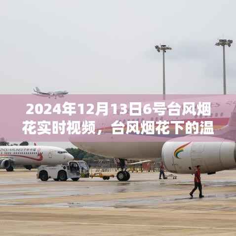 台风烟花下的温馨日常,与友共度美好时光(实时视频)