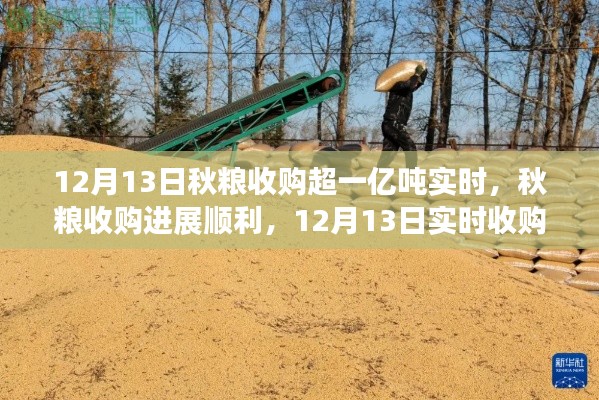 秋粮收购进展顺利,截至12月13日实时收购量超一亿吨的综合分析