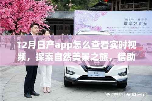 日产App冬季实时视频指南,探索自然美景,心灵与实景交融之旅