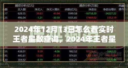 2024年王者星数实时查询指南,从初学者到进阶用户的查询步骤