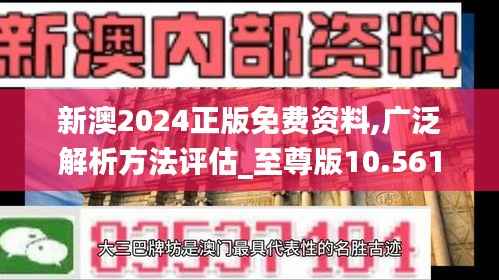 新澳2024正版免费资料,广泛解析方法评估_至尊版10.561