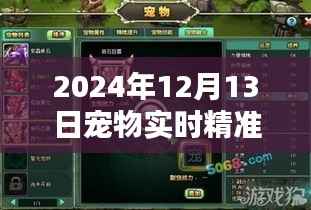 超越时空守护,宠物精准定位软件引领励志新时代(2024年12月13日)