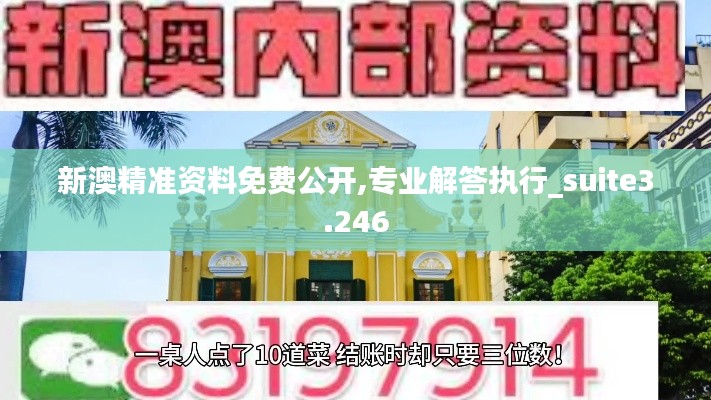 新澳精准资料免费公开,专业解答执行_suite3.246