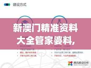 新澳门精准资料大全管家婆料,数据决策分析驱动_T10.346
