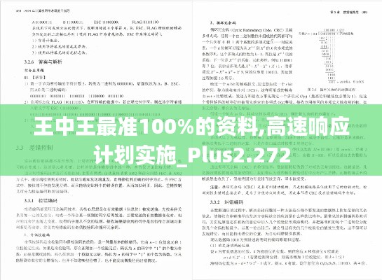 王中王最准100%的资料,高速响应计划实施_Plus2.272