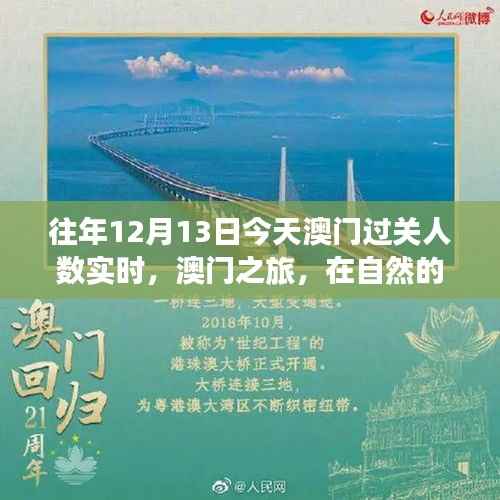 澳门之旅,十二月十三日过关人数背后的故事——自然怀抱中的心灵寻觅与宁静时刻