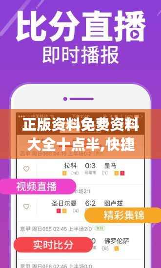 正版资料免费资料大全十点半,快捷问题解决指南_Z3.721