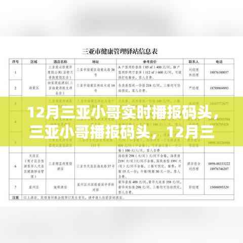 12月三亚港口实时资讯播报与深度评测,小哥带你直击码头动态