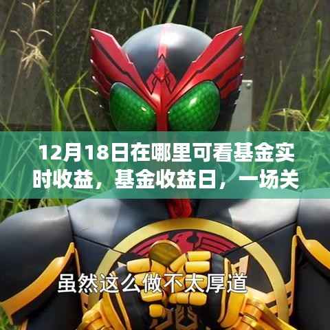 基金实时收益与友情交织的温馨故事,12月18日揭晓理财日与友情之旅