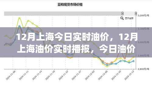 上海油价实时播报,最新油价走势及今日油价分析(十二月版)