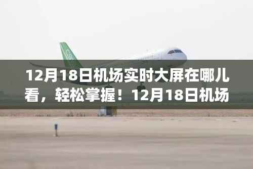 12月18日机场实时大屏观看指南,轻松掌握机场大屏动态!