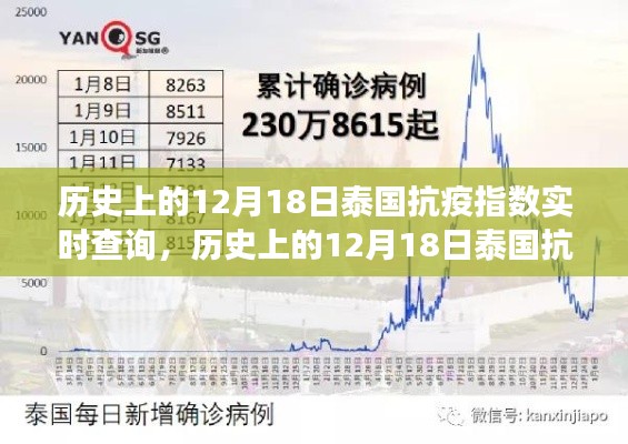 多维度视角下的泰国抗疫指数实时查询与观点碰撞,历史上的12月18日回顾