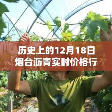 历史上的12月18日烟台沥青实时价格行情深度解析与回顾