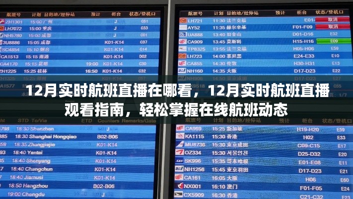 掌握在线航班动态,12月实时航班直播观看指南