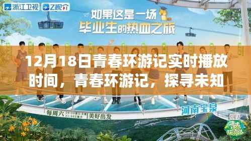 青春环游记,启程未知之旅,实时播放时间大揭秘