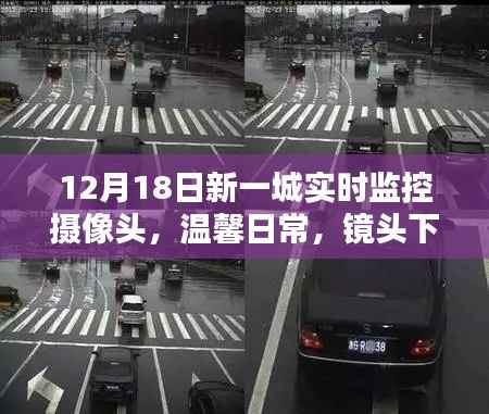 12月18日新一城摄像头下的温馨日常,欢乐时光全记录