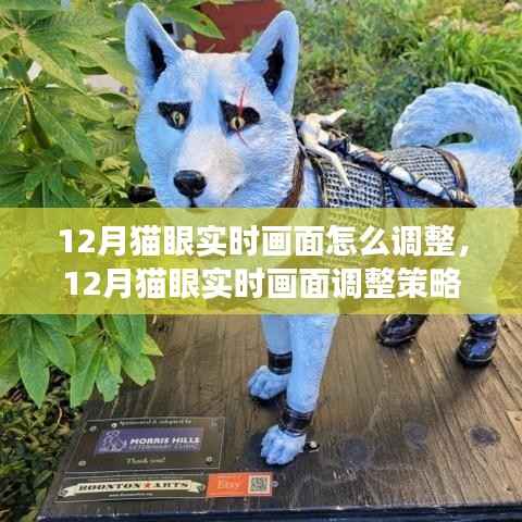 专业解析,12月猫眼实时画面调整策略与实时调整技巧