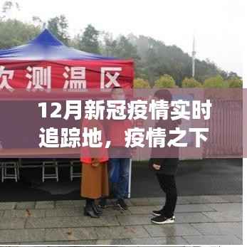 深度解析,12月新冠疫情实时追踪地,疫情之下的观察与追踪