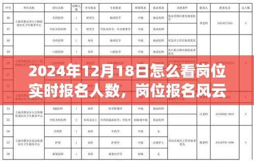 揭秘岗位报名风云，岗位实时报名人数揭秘与报名现场小故事回顾，2024年12月18日深度观察
