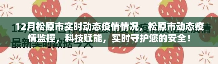 松原市实时动态疫情监控,科技守护下的安全防线