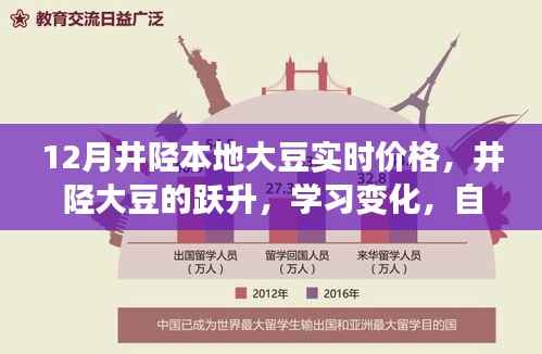 井陉大豆跃升,把握12月新机遇,实时价格与学习变化展现自信闪耀