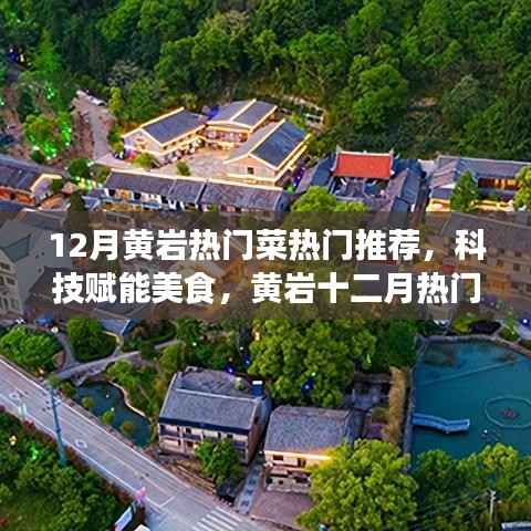 科技赋能美食，黄岩十二月热门菜的高科技魅力与独特体验推荐