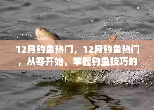 从零开始掌握钓鱼技巧,12月钓鱼热门全攻略