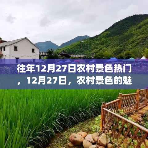 12月27日农村景色魅力与变迁揭秘