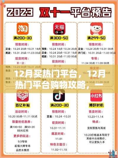 12月购物攻略，热门平台挑选与心仪商品购买指南
