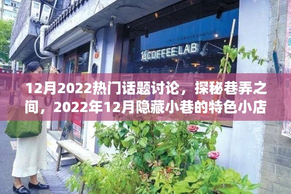 巷弄探秘,揭秘十二月隐藏小巷的特色小店故事