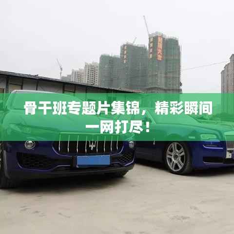 骨干班专题片集锦,精彩瞬间一网打尽!