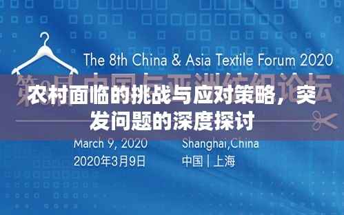 农村面临的挑战与应对策略,突发问题的深度探讨