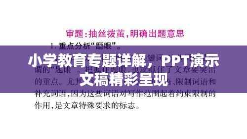 小学教育专题详解,PPT演示文稿精彩呈现
