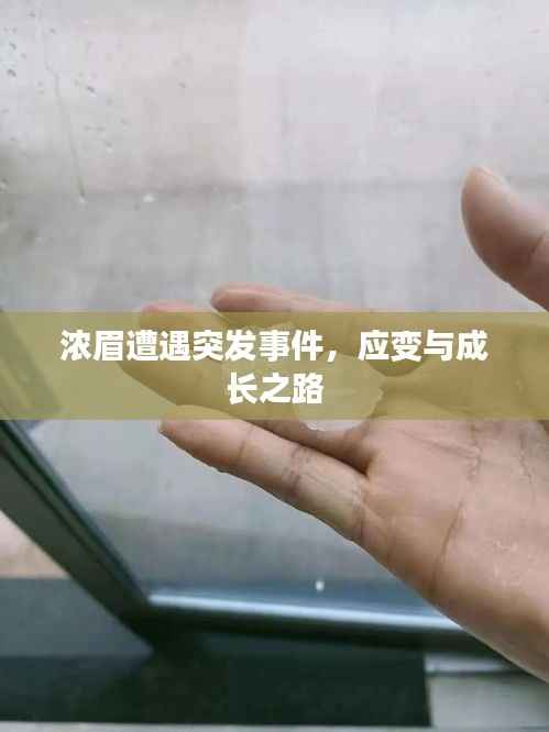 浓眉遭遇突发事件,应变与成长之路