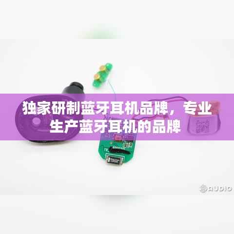 独家研制蓝牙耳机品牌,专业生产蓝牙耳机的品牌