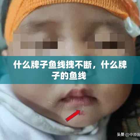 什么牌子鱼线拽不断,什么牌子的鱼线