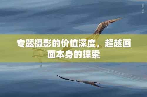 专题摄影的价值深度,超越画面本身的探索