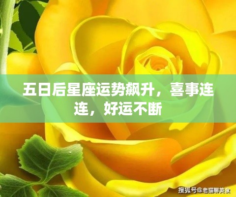 五日后星座运势飙升，喜事连连，好运不断