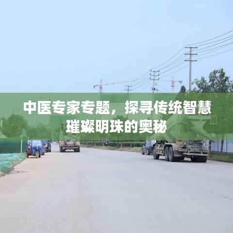 中医专家专题,探寻传统智慧璀璨明珠的奥秘