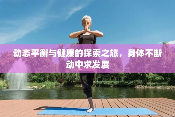 动态平衡与健康的探索之旅,身体不断动中求发展