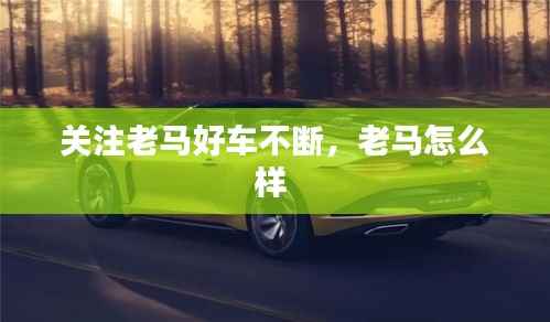 关注老马好车不断,老马怎么样