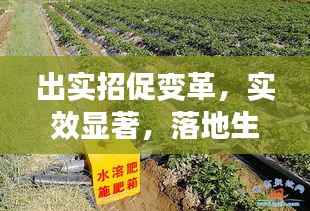 出实招促变革,实效显著,落地生根