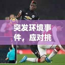 突发环境事件,应对挑战的策略之道