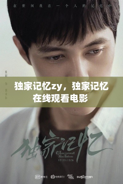 独家记忆zy,独家记忆在线观看电影