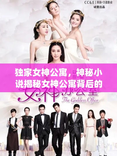 独家女神公寓,神秘小说揭秘女神公寓背后的故事