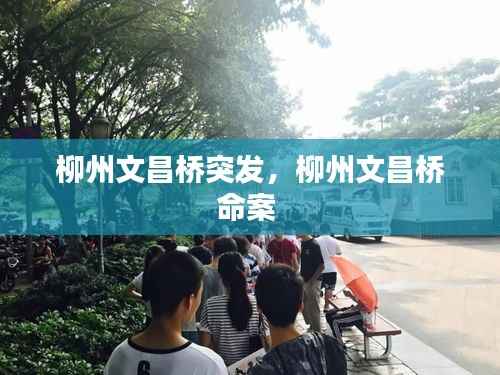 柳州文昌桥突发,柳州文昌桥命案