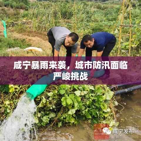 咸宁暴雨来袭,城市防汛面临严峻挑战