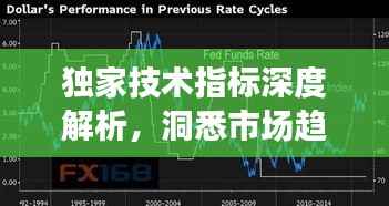 独家技术指标深度解析,洞悉市场趋势的关键秘籍