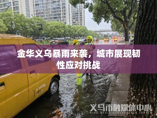 金华义乌暴雨来袭，城市展现韧性应对挑战