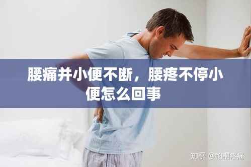 腰痛并小便不断,腰疼不停小便怎么回事